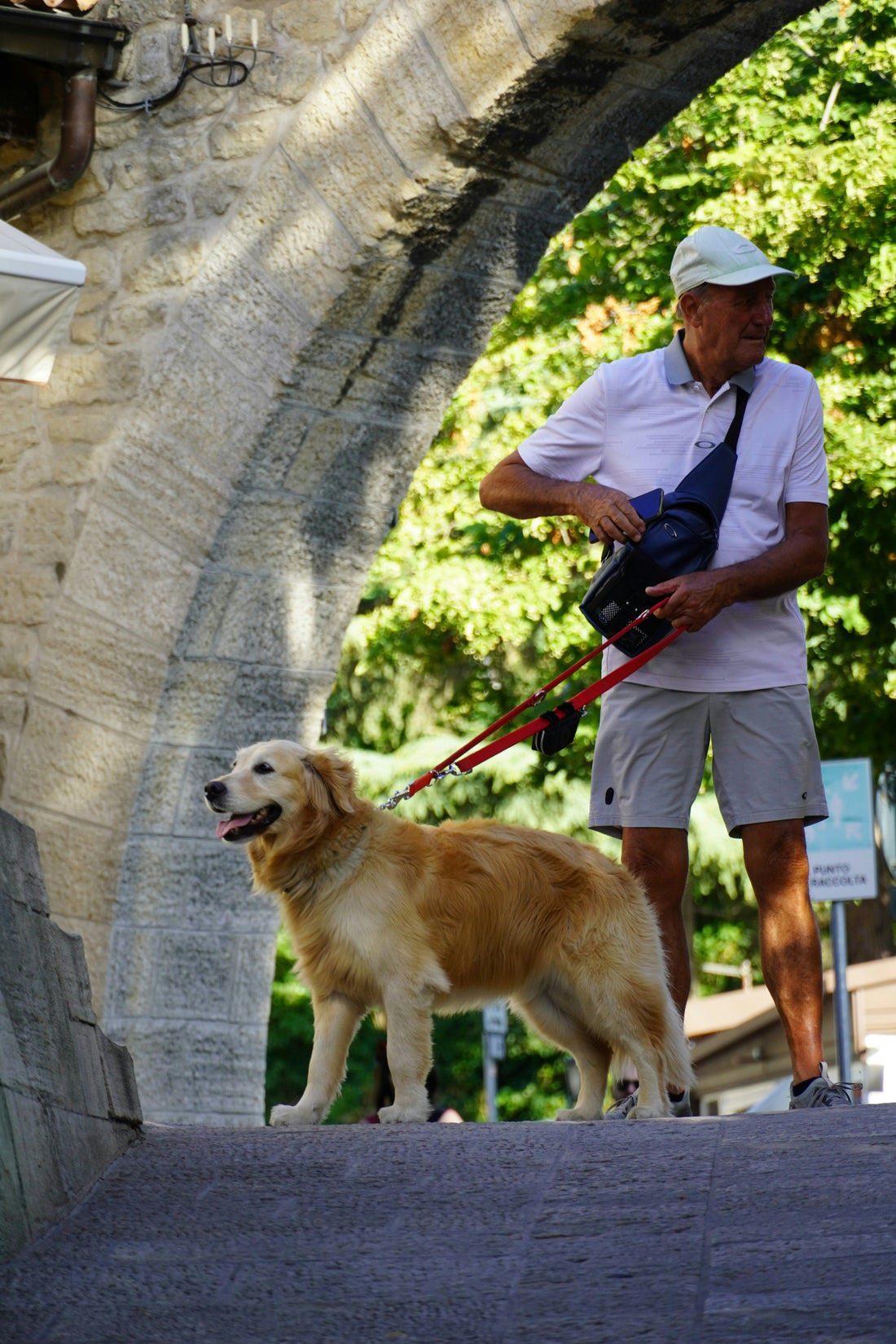 Best Wireless Dog Fence Systems for 2025: Keep Your Pet Safe Anywhere