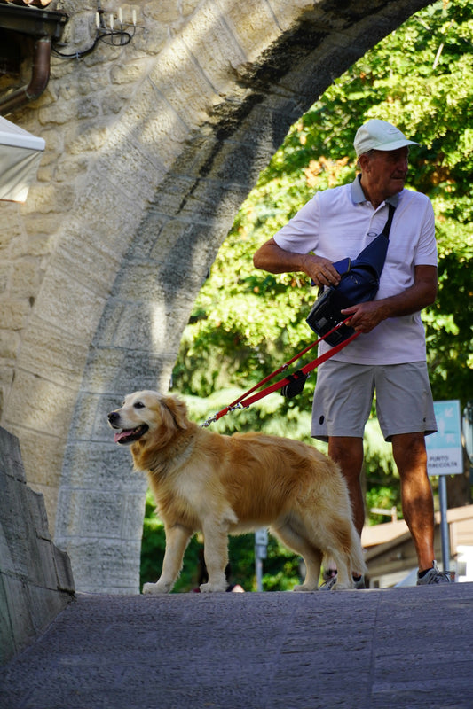 Best Wireless Dog Fence Systems for 2025: Keep Your Pet Safe Anywhere